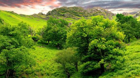 Verdant Highland Valley Under a Soft Sunrise Sky wallpaper