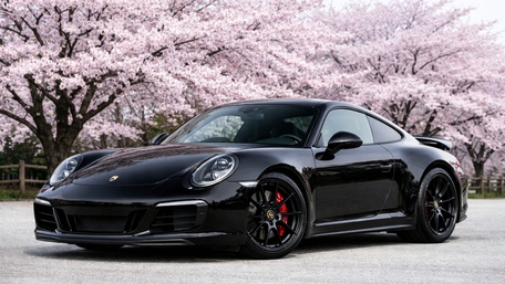 Midnight Black Porsche Supercar Under Cherry Blossom Canopy wallpaper