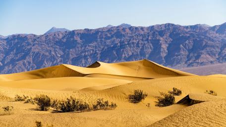 Golden Ridges at Mesquite Flat Sand Dunes in Death Valley wallpaper