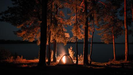 Midnight Campfire Glow Beside a Quiet Forest Lake wallpaper