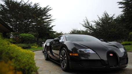 Sleek Black Bugatti Veyron Parked Among Lush Garden Trees wallpaper