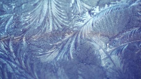 Blue Frost Feathers in Macro Winter Glass Texture wallpaper