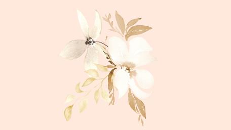 Soft Pastel Magnolia Illustration on Blush Background wallpaper