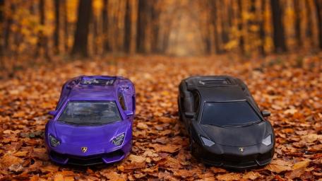 Mini Lamborghini Aventador Duo on Autumn Forest Road wallpaper