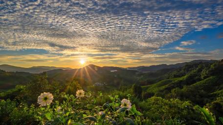 Golden Sunrise Over Emerald Hills in Huai Nam Dang National Park wallpaper