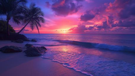 Pink Sunset Serenity on a Tropical Beach with Palms wallpaper