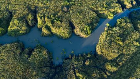 Winding River Channels Through Lush Wetlands Drone View 4K Wallpaper wallpaper