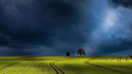 Stormlight Over a Quiet Meadow Plain wallpaper
