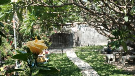 Golden Hibiscus Garden Pathway in Sunlit Bangkok Thailand 5K Wallpaper wallpaper
