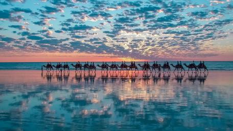 Sunset Camel Herd Reflections on Cable Beach Western Australia wallpaper