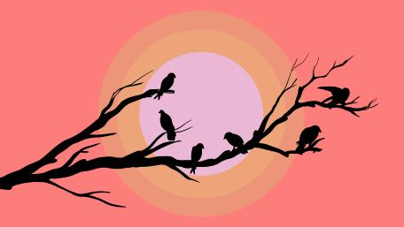 Whimsical Silhouette Birds on Bare Branch Against Pastel Dream Sky wallpaper