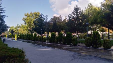 Serene Urban Park Scene with Lush Greenery wallpaper