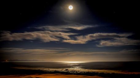 Moonlit Horizon Over Calm Sea and Silent Shore wallpaper