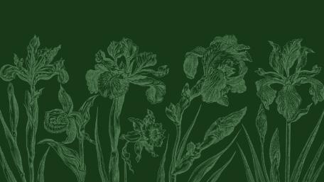 Elegant Green Iris Botanical Pattern wallpaper