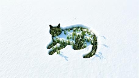 Hidden Cat in Snow Bloom wallpaper