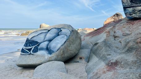Coastal Painted Stones wallpaper