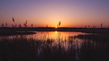 Serene Sunset Over Quiet Wetland wallpaper