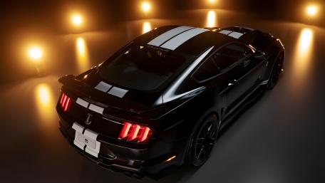 Shelby In The Spotlights wallpaper