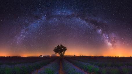 Milky Way Over Lavender Fields wallpaper