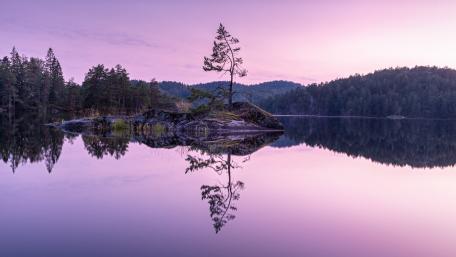 Serene Island Reflection at Tyresta National Park wallpaper