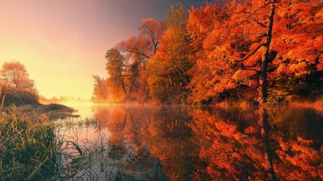 Autumn River Glow wallpaper