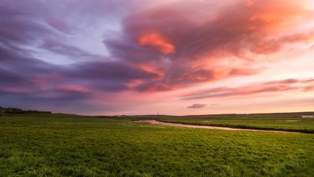 Pastel Dusk Over Open Grassland wallpaper