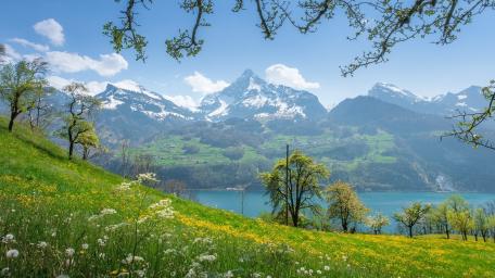 Serene Alpine Lake Valley wallpaper