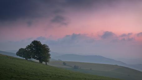 Misty Sunset Over Rolling Hills wallpaper