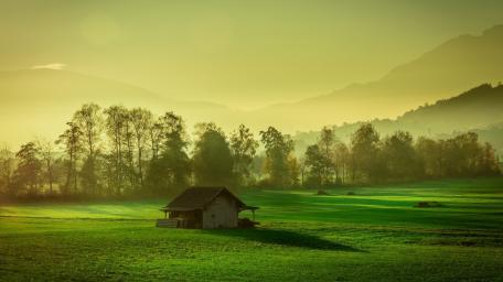 Misty Morning Cottage in Golden Meadow wallpaper