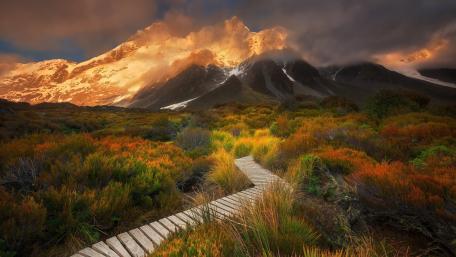 Golden Path Through Autumn Peaks wallpaper