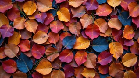 Autumn Mosaic Leaves wallpaper