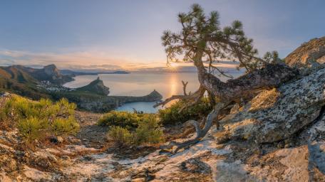 Sunlit Coastal Bay Panorama wallpaper