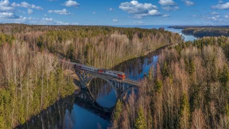 Forest Railway Crossing wallpaper