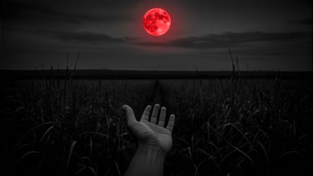 Blood Moon Calling in the Dark Fields wallpaper