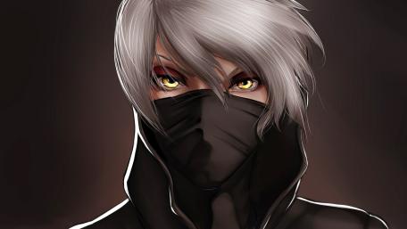 Silver Haired Masked Warrior wallpaper