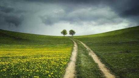 Stormy Meadow Path wallpaper