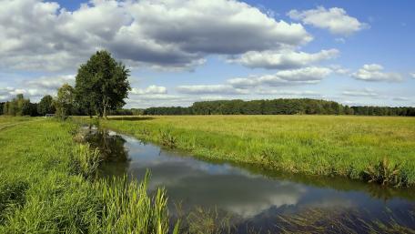 Quiet Meadow Stream Under Open Skies wallpaper