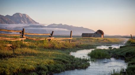 Misty Morning at Teton Barn wallpaper