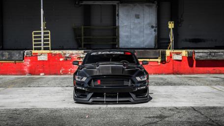 Black Shelby GT500 Ready for the Street wallpaper