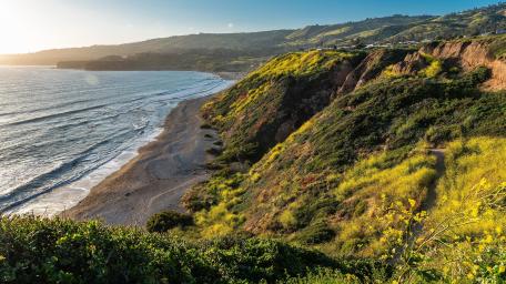Golden Cliffs Over Crystal Cove Beach wallpaper