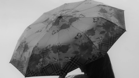 Silent Umbrella in Monochrome Mood wallpaper