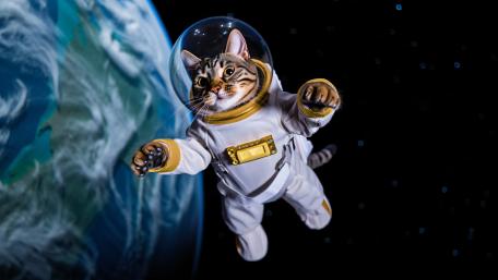 Floating Astrocat Adventure wallpaper