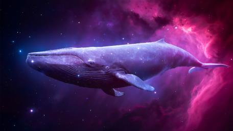 Cosmic Whale Drift wallpaper