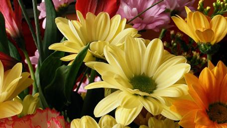 Bright Floral Bouquet wallpaper