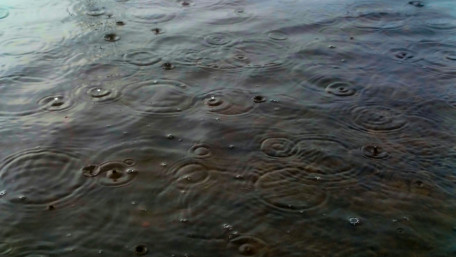 Tranquil Raindrops on Water Surface wallpaper