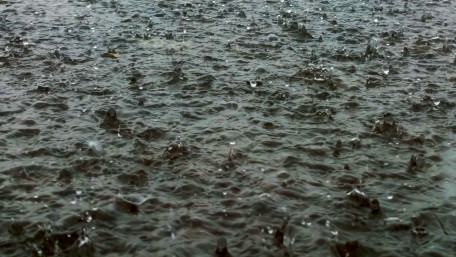 Rain Ripples on Dark Water wallpaper