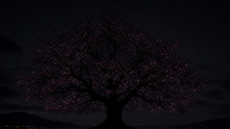 Moonlit Blossom Guardian wallpaper