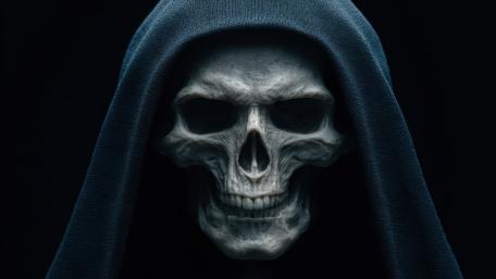 Shadowed Reaper Skull wallpaper