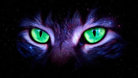 Nebula Cat Gaze wallpaper