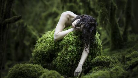 Mossbound Dreamer in the Enchanted Forest wallpaper